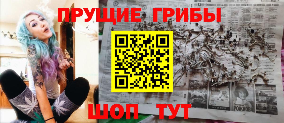 Старая Русса  Галлюциногенные грибы Psilocybine cubensis  магазин продажи наркотиков  Вход с VPN 