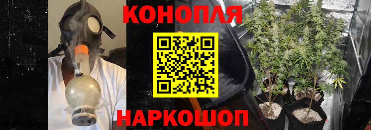 Бошки марихуана планчик  Бошки марихуана SATIVA & INDICA  Шишки марихуана SATIVA & INDICA  Вход с VPN  Старая Русса 